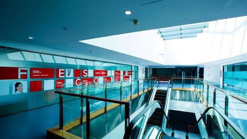 通州園區 以產業集聚為引擎，推動人力資源服務雁陣騰飛